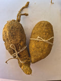 10 Momordica dioica (Kantola) Rhizomes – 8 Female and 2 Male Rhizomes, Free Phytosanitary Certificate Included