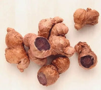 15 Black Ginger Rhizomes For Growing ,Kaempferia parviflora Rhizomes, Krachai Dum ,