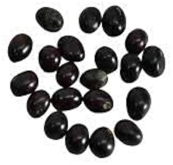 100 Black  abrus  Seeds ,  Abrus precatorius ,bead vine, coral bead plant, coral bean,