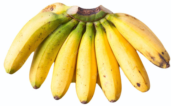 Peyan Nadu Banana Plant Suckers (Palapazham Banana Suckers)