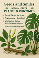 Live  Plants  And Rhizomes List  For Growing 2025