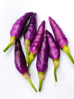 25 Purple Kanthari Chilli Seeds, ,Kanthari Mulaku Bird Eye Chilli Seeds, Capsicum annuum Seeds