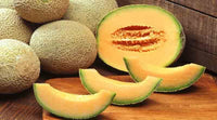 25 Muskmelon Seeds, Muskmelon Arka Siri Seeds, Fruit Seeds,