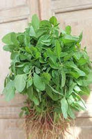 500 Siru Keerai Green Seeds, Tropical Amaranthus Seeds, Sirukeerai Seeds, Non - Gmo Seeds