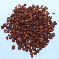 1 oz Celastrus paniculatus Seeds, Celastrus Seed, Natural Memory Enhancer, Climbing staff tree, Intellect tree, Malkangni Seeds,